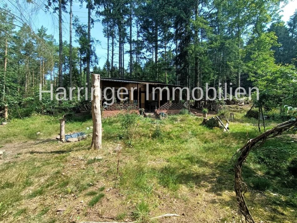 Wochenendhaus auf hellem Waldgrundstück!