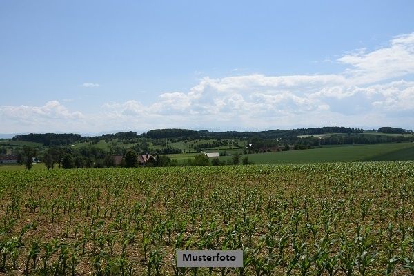 Landwirtschaftsflächen