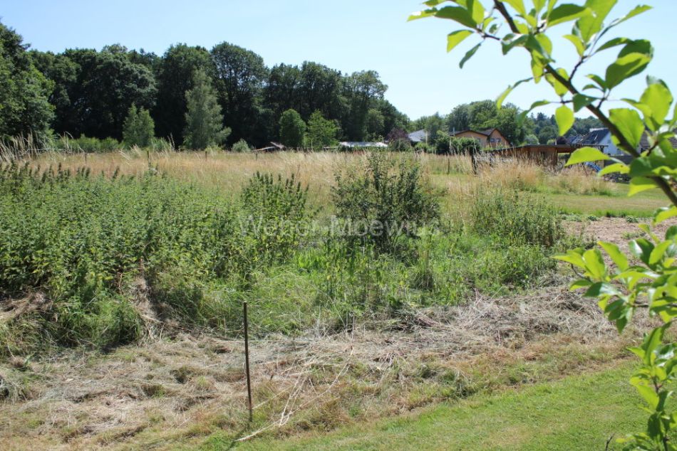 *KAUFEN-PLANEN-BAUEN* 1.421 m² großes Baugrundstück