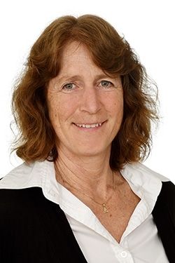 Ansprechpartner Foto
